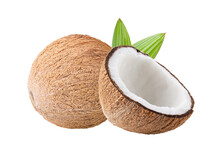 Coconut Isolated On Transparent Png