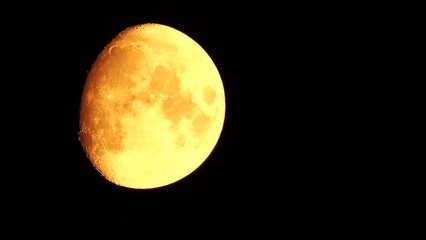 Wall Mural - A glowing golden huge moon seen from earth through the atmosphere against a starry night sky. A large moon moves across the sky, the moon moving from the left frame to the right.