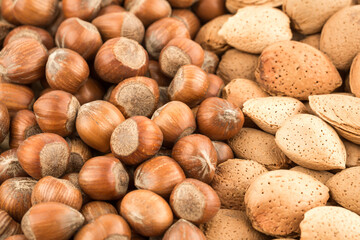 Poster - Almonds and hazelnuts