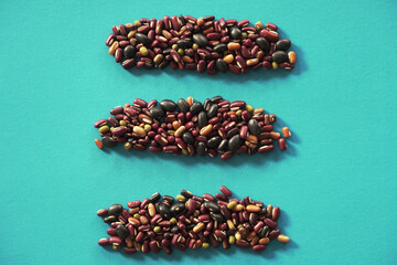 Wall Mural - Assortment of many kinds of beans on blue background