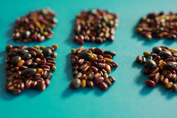 Wall Mural - Assortment of many kinds of beans on blue background