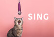 cat and microphone on a pink background. the cat sings into the microphone.