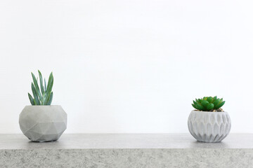 Wall Mural - Empty table with small plant over white background