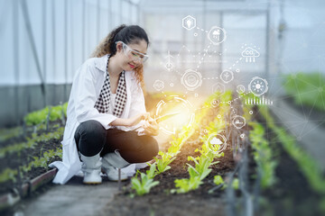 Modern agriculture science and technology concept. Farm researcher staff working overlay IOT tech icon.