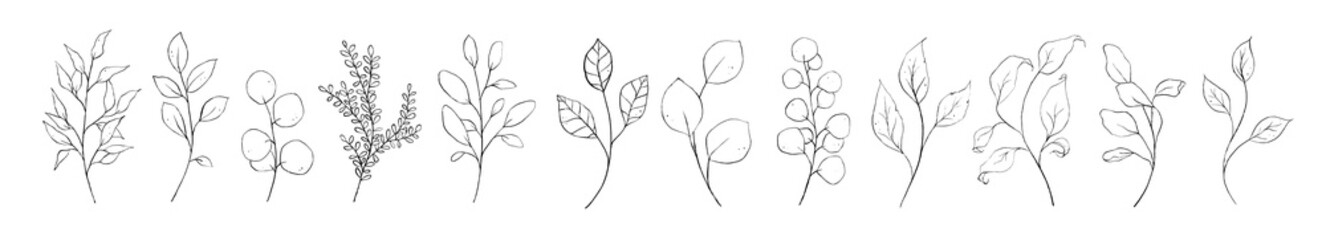 Set of black fine art branch, leaf, plants. Botanical floral foliage outline pencil sketch leaves isolated on white background. Hand drawn line art black simple vector illustration