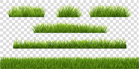 Wall Mural - set of grass