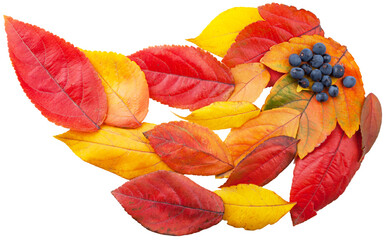 Canvas Print - creative concept of autumn. Brush paint with colorful autumn leaves