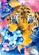 Watercolor Pencil Illustration Of A Striped Orange Tiger Peeking Out From A Thicket Of Autumn Leaves And Flowers