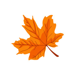 Wall Mural - Orange maple leaf for student worksheet vector illustration. Cartoon drawing of tree leaf for learning about forest, math activity or counting game for children. Autumn or fall, education concept