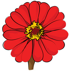 Wall Mural - Gerbera 