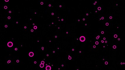 Poster - Abstract flying rings on a black background. Design. Round rotating and levitating bubbles.