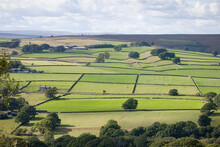 UK Countryside With Farm Land, Nidderdale, Yorkshire, England