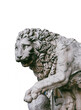 Lion at Loggia dei Lanzi Image PNG image transparent background, Piazza della Signoria, Florence, Italy. Renaissance of statue 1600 by Flaminio Vacca.