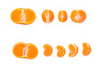 © alesmunt - Ripe mandarin set isolated on transparent background