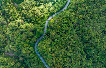 Poster - Road in the middle of the forest , road curve construction up to mountain, Rainforest ecosystem and healthy environment concept