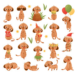 Sticker - Cute Meerkat or Suricate Character Engaged in Different Activity Big Vector Set