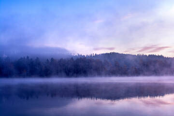 Foggy forest by the lake