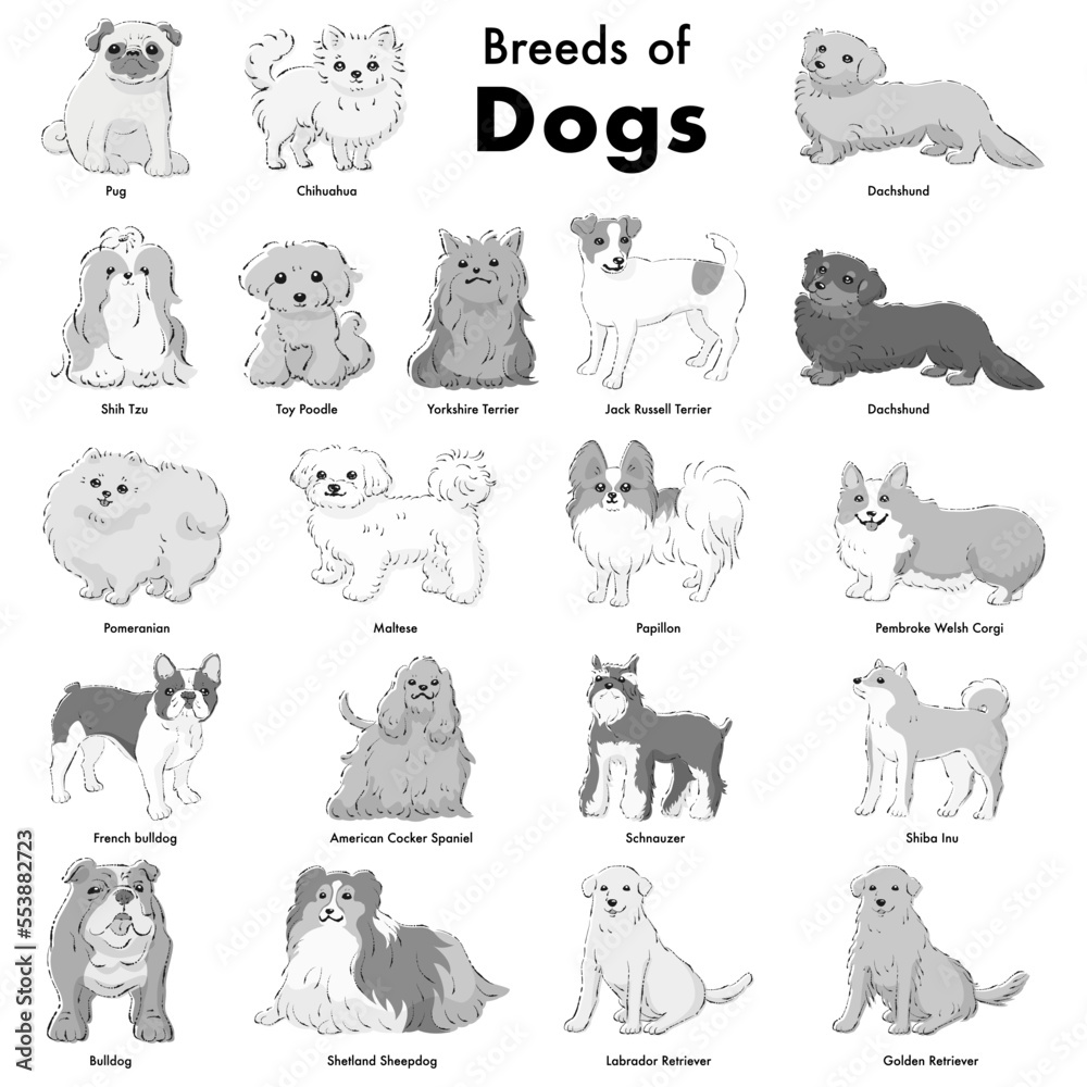 シンプルでかわいい人気の犬種 手描き線画ベクターイラストセット の