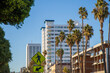 white high rise hotels  and office buildings in the city skyline with tall lush green palm trees and a gorgeous clear blue sky in Santa Monica California USA