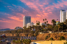 White Hotels And Office Buildings In The City Skyline Surrounded By Tall Lush Green Palm Trees And Pants With Parked Cars And Powerful Clouds At Sunset In Santa Monica California USA