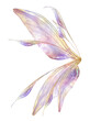Leinwandbild Motiv Png fairy wing overlay by ATP Textures