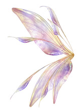Png Fairy Wing Overlay By ATP Textures
