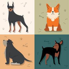 Sticker - four dogs cute