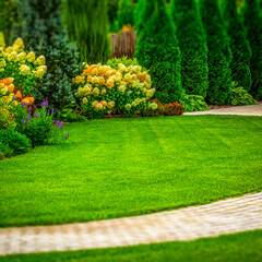 Freshly cut grass in the backyard of a private house.