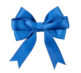 Wall Mural - Blue bow isolated on a white background