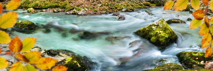 Poster - beautiful wild river with clear water in ravine
