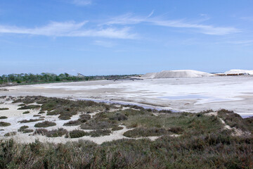 Canvas Print - Paysage salins