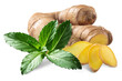 Ginger root with fresh mint leaves, isolated png