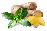 Fototapeta  - Ginger root with fresh mint leaves, isolated png