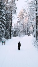 Vertical mode: people walk in the snowy nordic forest view from a drone. 