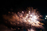 Fototapeta Dmuchawce - Bright light flash of fireworks, against the background of the night sky.