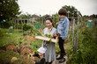 © Caia Image - Mother and sons harvesting vegetables in garden