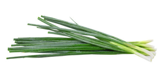 Sticker - Green onion  on  transparent png