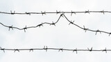 Fototapeta Miasto - Barbed wire against the sky. A security fence on the territory of a prison or airport. Ways to protect your property.