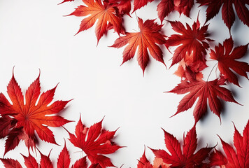 Wall Mural - Top view flat lay border composition of red hued autumn maple leaves falling on a white backdrop with copy space anime style close up banner. Generative AI