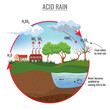 Acid rain cycle in nature vector illustration