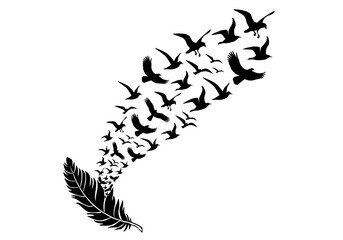 Black feather silhouette with flying birds, illustration over a transparent background, PNG image