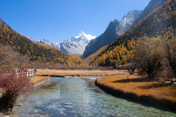 Chonggu meadow, Yading National Nature Reserve 