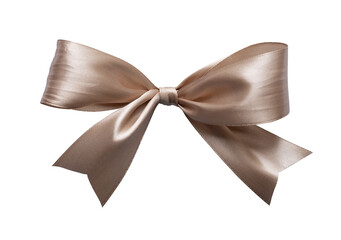 Poster - Elegance bow for wrap gift box and ornament. Shiny brown ribbon isolated background