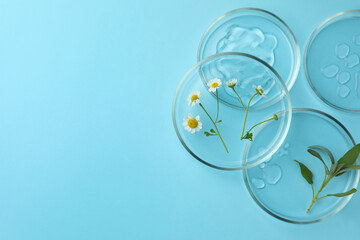 Flat lay composition with Petri dishes and plants on light blue background. Space for text