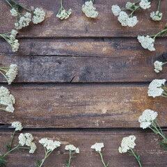 Wall Mural - White wildflowers are arranged in a circle on a wooden table background. Yarrow inflorescences. Horizontal boards. Romantic Provence rustic style