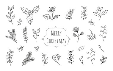 Wall Mural - Hand drawn vector winter floral elements. Winter branches and leaves. Hand drawn floral elements. Botanical illustrations.