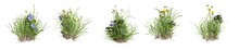 Set Of Grass Mixed With Wild Flowers. 3D Image