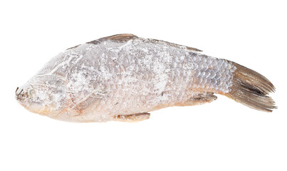 Poster - Frozen crucian fish isolated on white background.