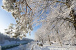 Polska zima, w śniegu otulone drzewa krzewy, zima w blasku zachodzącego, wschodzącego słońca.