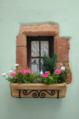 Poster - Fenster eines Hauses in Riquewihr